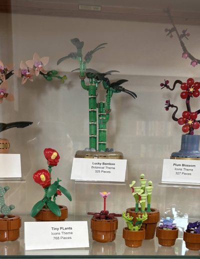 Display of LEGO botanical models on two shelves, including a Mini Orchid, Lucky Bamboo, Plum Blossom, and Tiny Plants.